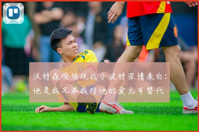 沃特森现场观战小波特深情表白：他是我兄弟我对他的爱无可替代