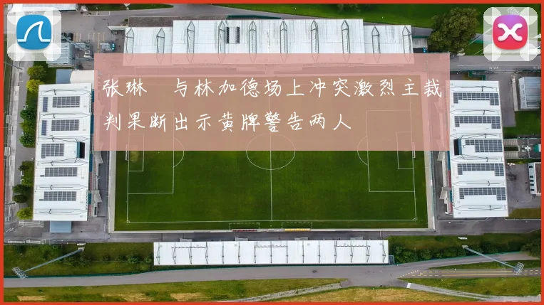 张琳芃与林加德场上冲突激烈主裁判果断出示黄牌警告两人