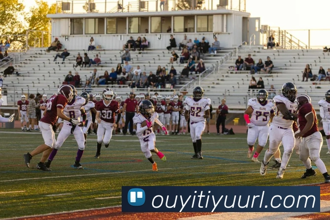 欧亿体育平台生态图