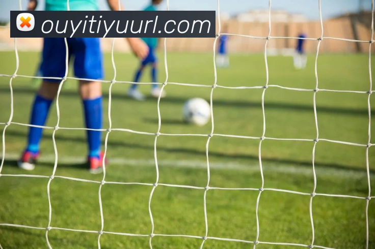 欧亿体育全站App